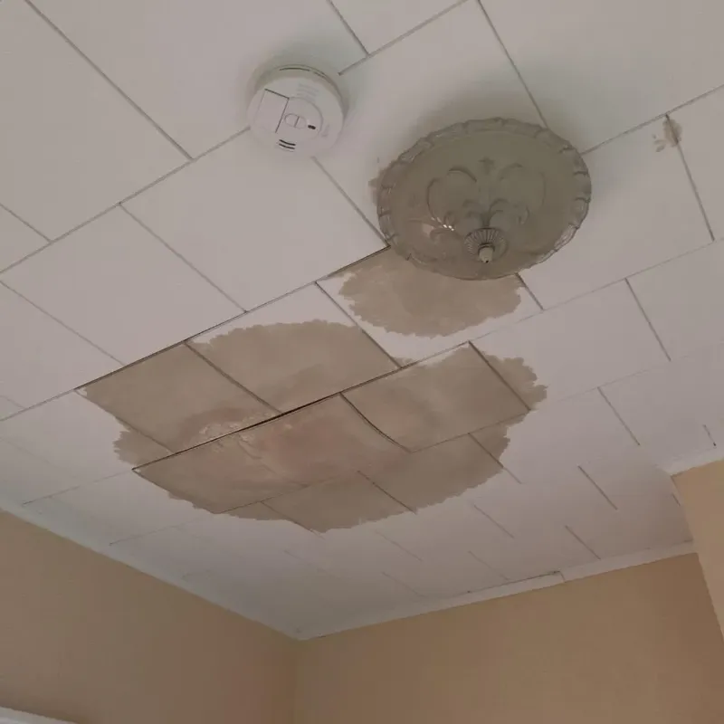 Ceiling Water Damage Repair in Trinity County, TX