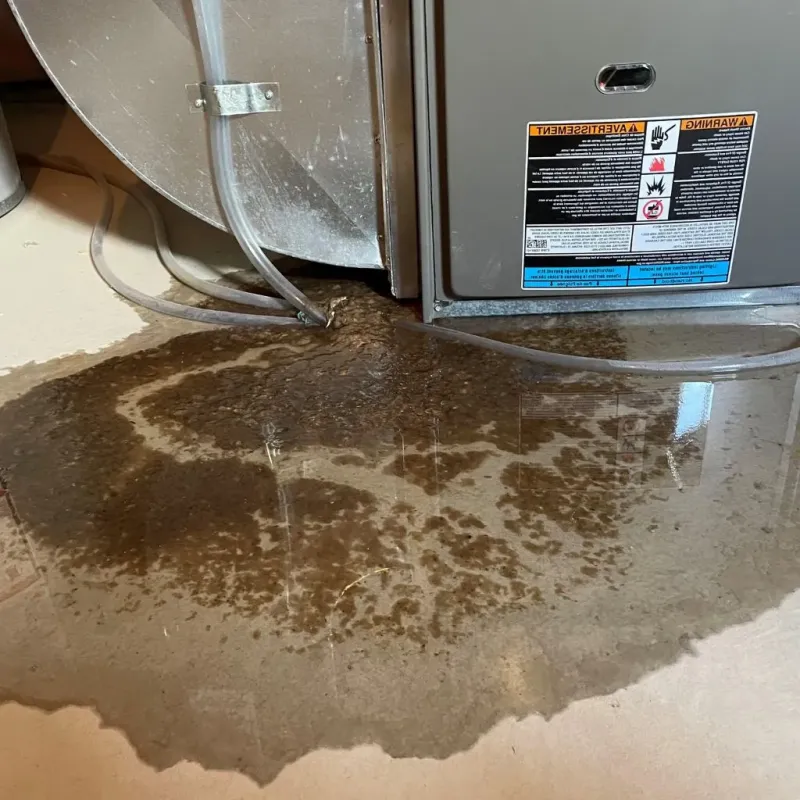 Pipe Burst and Leak Restoration in Trinity County, TX