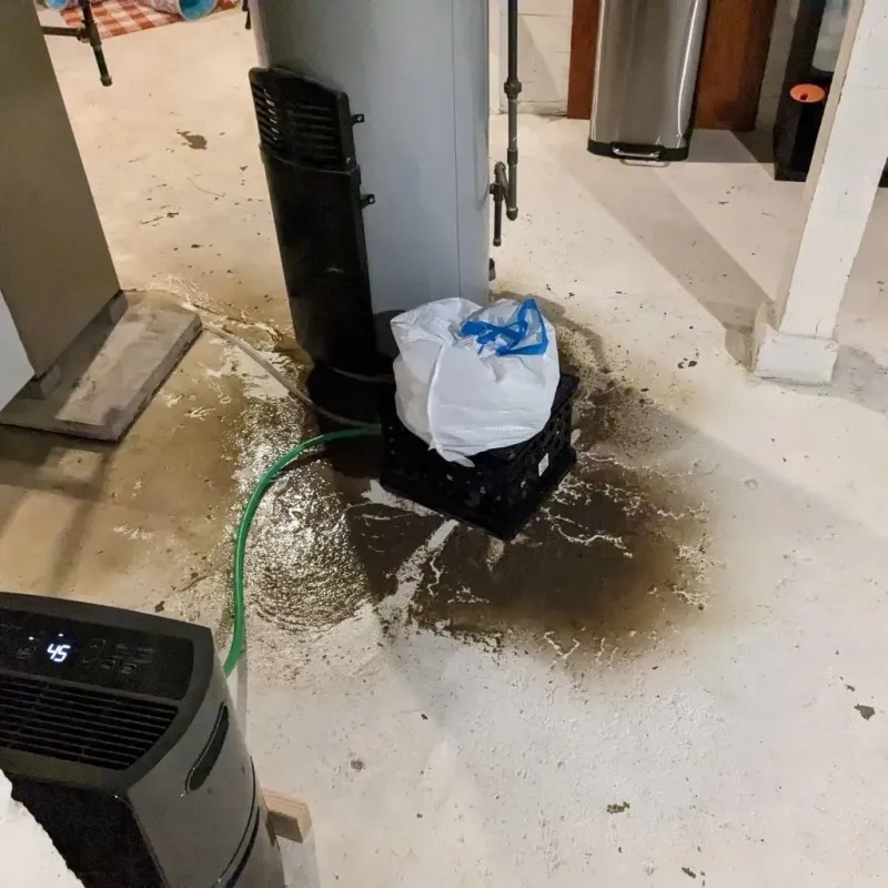 Sewage Backup Cleanup Service in Trinity County, TX